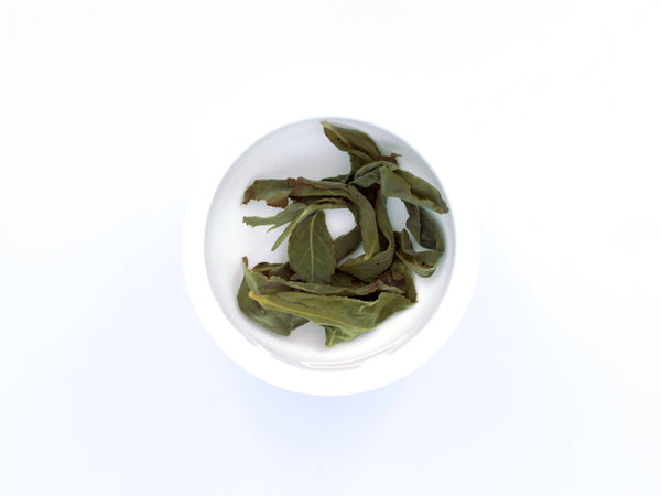 AliShan Oolong, Spring- 阿里山青心烏龍春茶 (New Arrival)