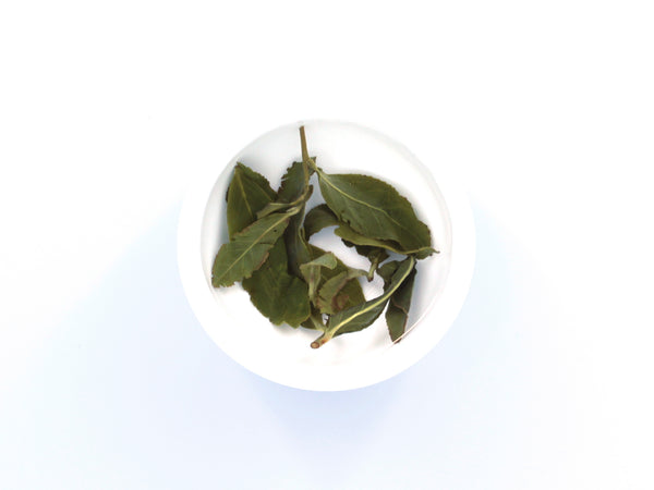 DaYuLing Oolong, Spring Harvest - 大禹嶺 (New Arrival)