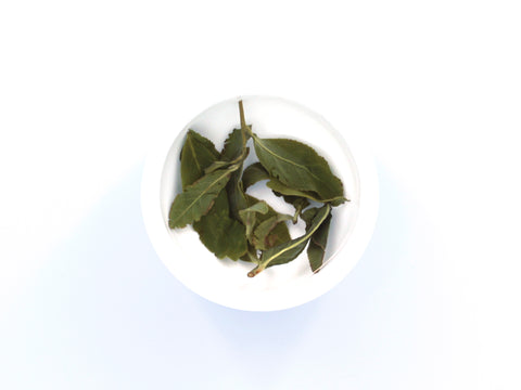 DaYuLing Oolong, Spring Harvest - 大禹嶺 (New Arrival)