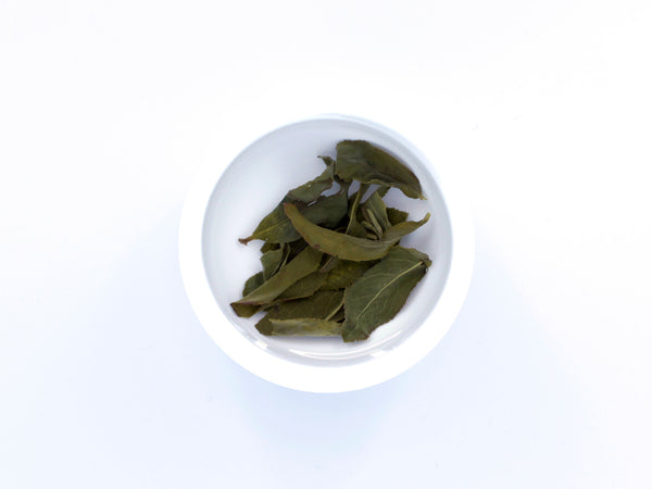 LiShan Oolong, Spring Harvest - 梨山青心烏龍春茶 (New Arrival)