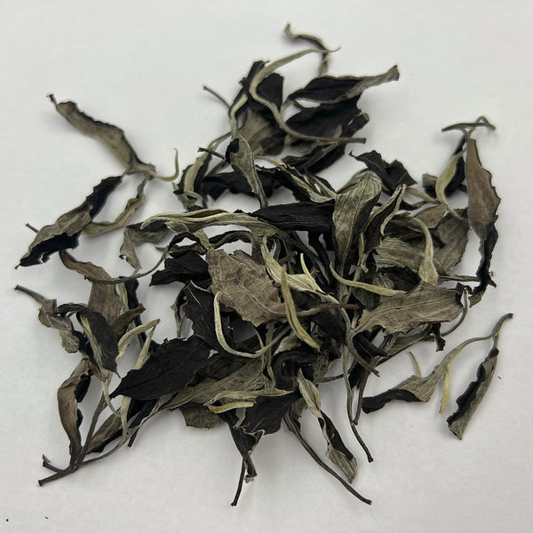 Big White Tea, Ancient Tea Mountain - 1.5 oz