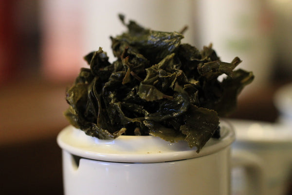 Ginseng Oolong Mountain Tea